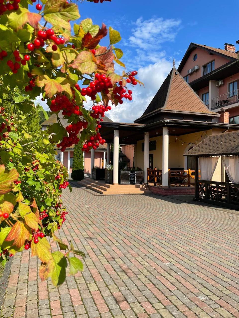 Срібний Водограй Hotel Polyana  Exterior photo